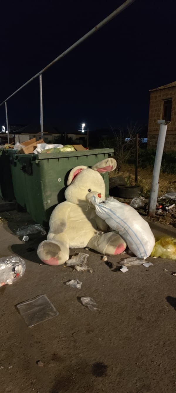 Stuffed bunny found abandoned among trash in Yerevan street