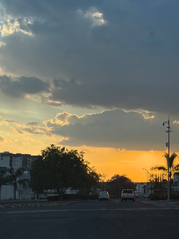 Urban street scene captured during golden hour sunset