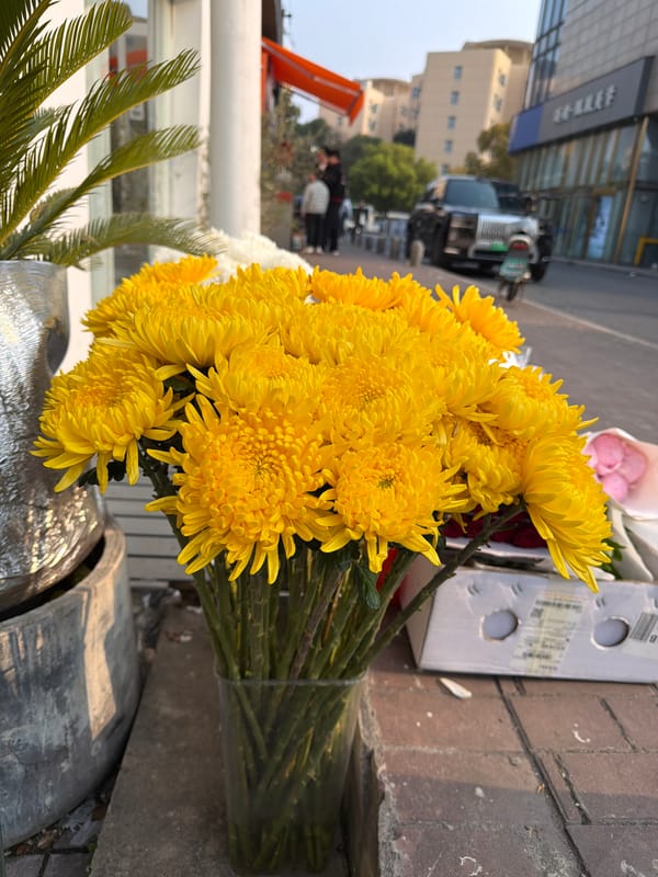 Morning scenes captured around Jiangning District flower vendors and walkways