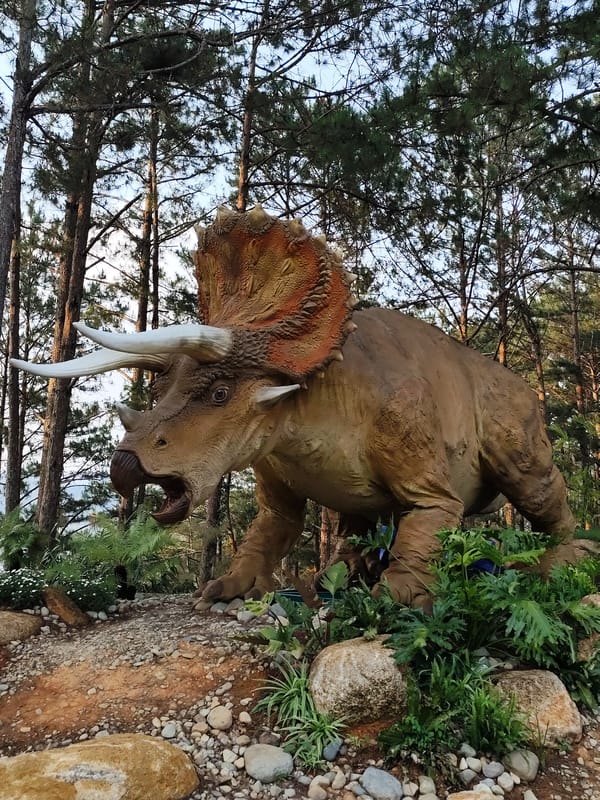 Life-sized Triceratops statue spotted in Da Lat forest park
