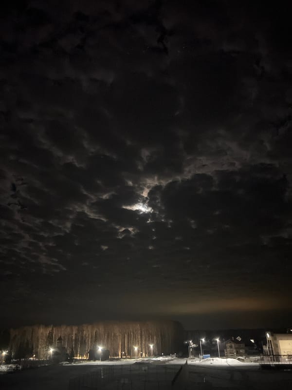 Cat feeding session and night sky documented in Russia