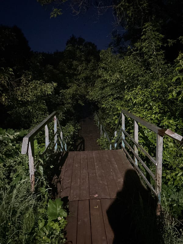 Nighttime walk documented through wooded pathways in Красные Баки, Russia