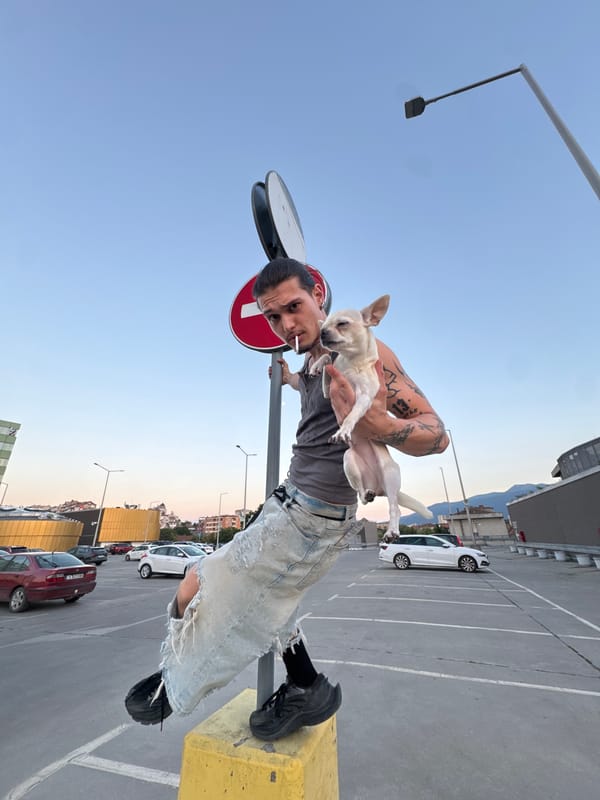 Golden hour on a Sofia rooftop with friends and a chihuahua