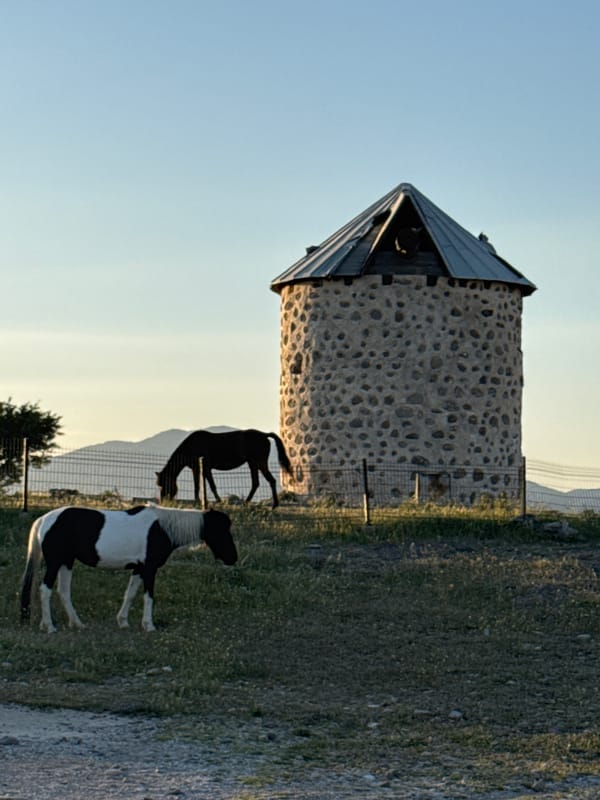 Tourist captures scenic views of historic Bodrum coastline