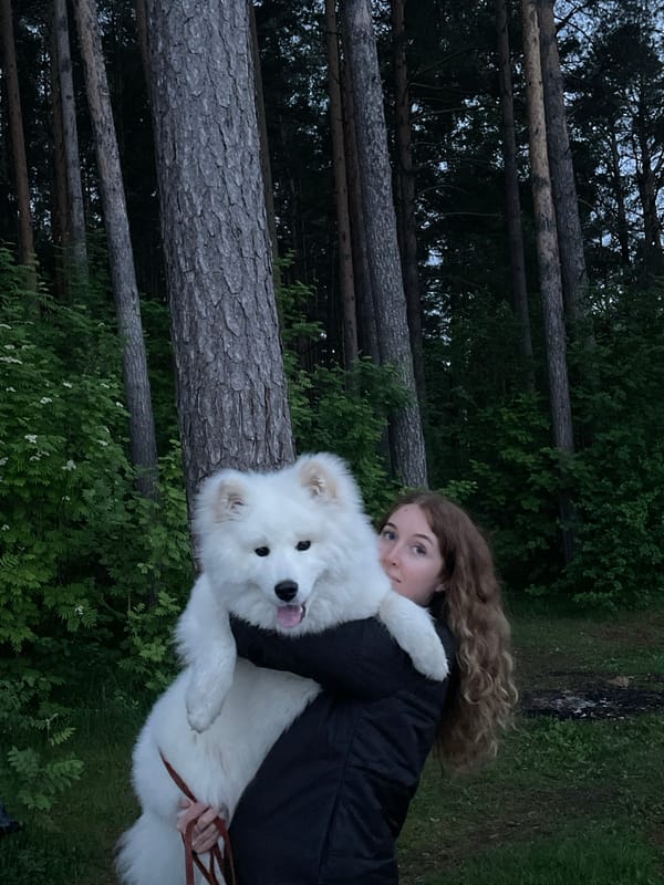 People interact with white Samoyed dog in wooded area