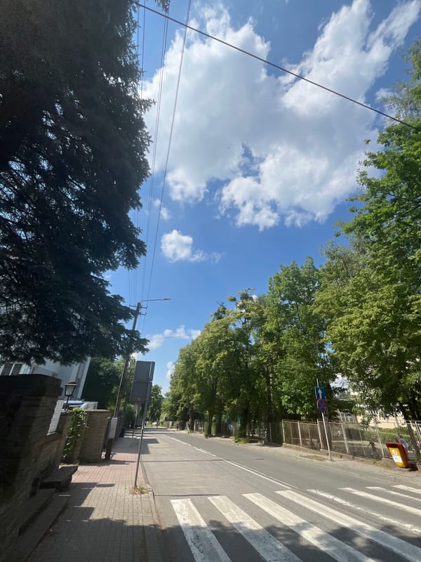 Sunny street scene documented across 18 minutes by witnesses