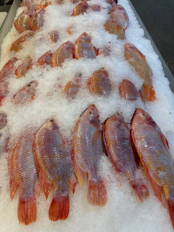 Seafood market activity documented in Baan Bo Phut, Thailand