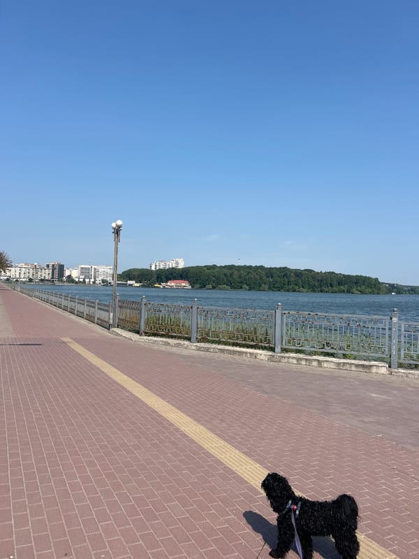 Morning walk along Ternopil Pond, poodle in tow
