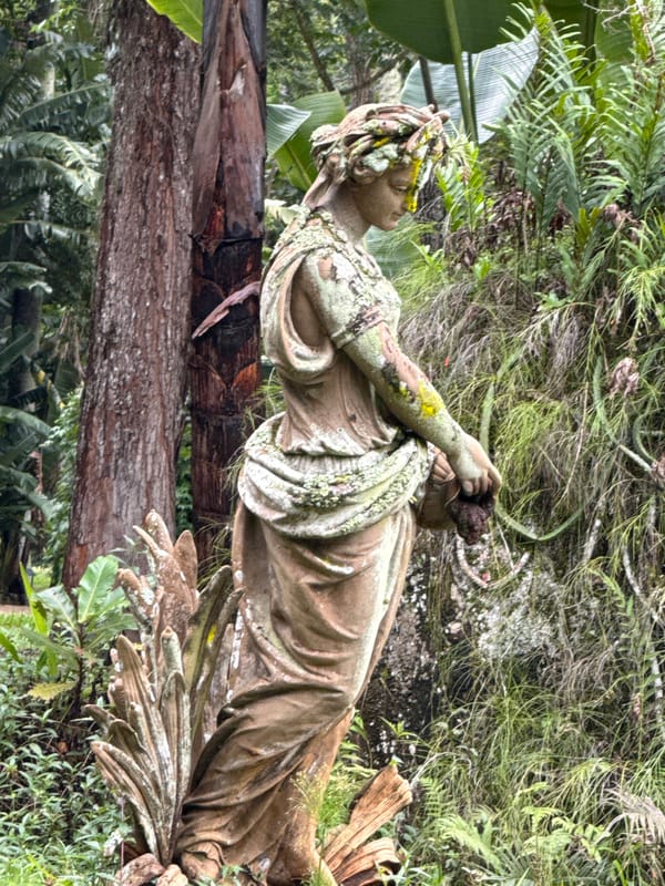 Observer documents Rio wildlife, gardens, Christ statue in 5-minute span