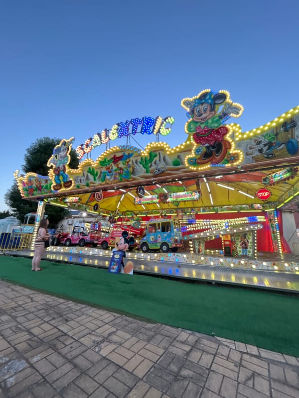 Evening at amusement park with themed rides and attractions