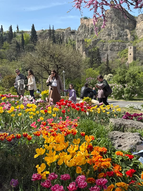 Tourists photograph vibrant tulip garden in Tbilisi