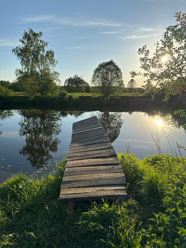 Tranquil afternoon scenes documented near Egorii, Russia waterfront