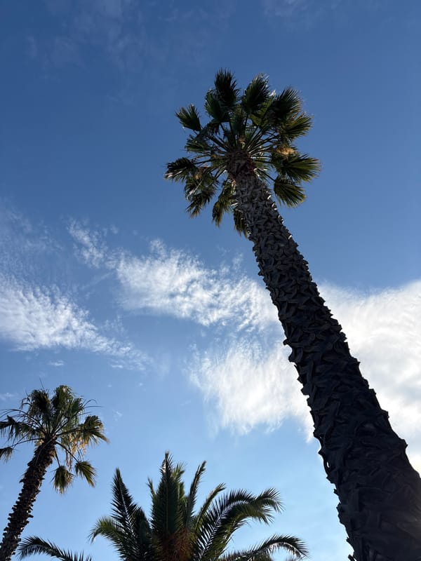 Poolside palms under a clear Greek summer sky