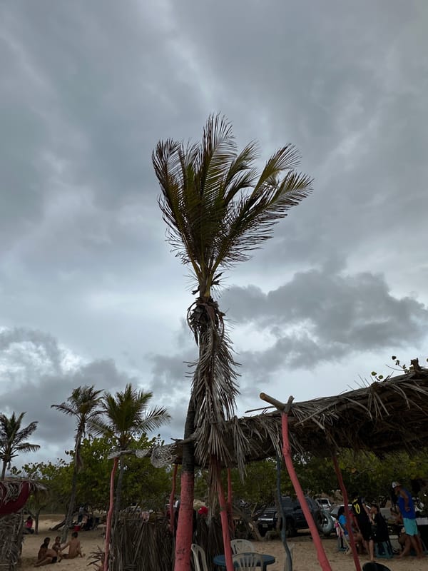Overcast afternoon beach scenes documented in Altagracia, Venezuela