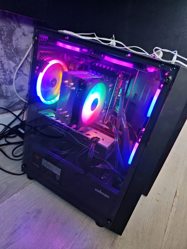 Home scenes: gaming computer and pet cockatiel documented