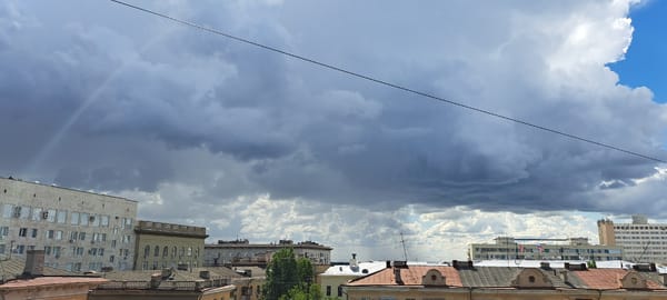 Rooftop views under stormy skies, with a splash of blooming flowers