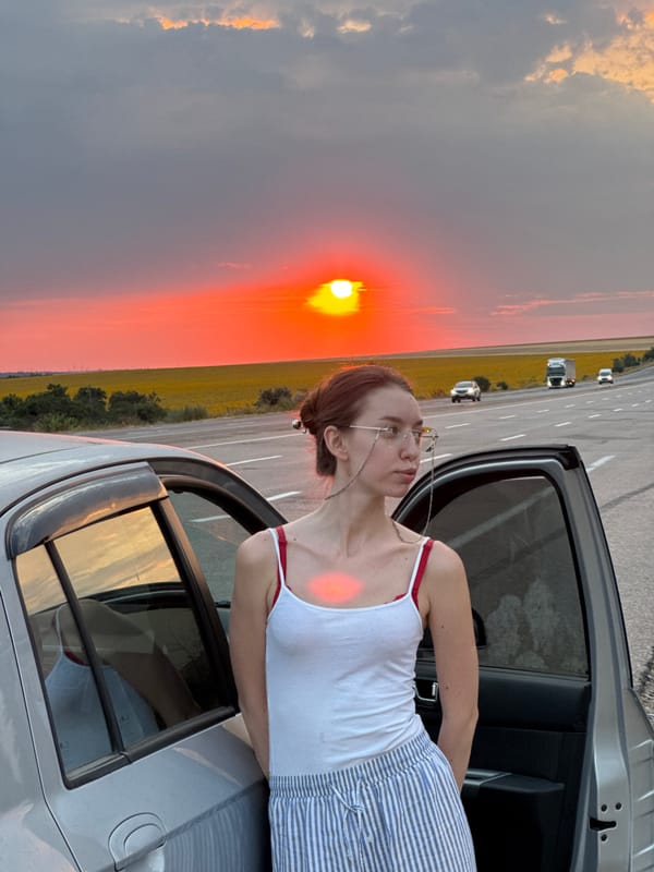 Sunset drive through rural Ukraine with hydrangeas in tow