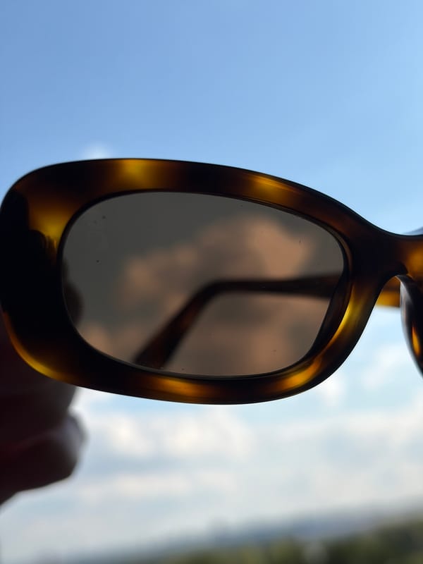 Summer nature walk in Khimki doubles as a casual eyewear showcase.