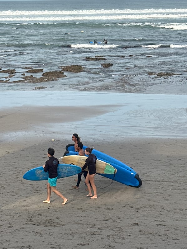 Surfers, dogs, and beachgoers on a lively shoreline