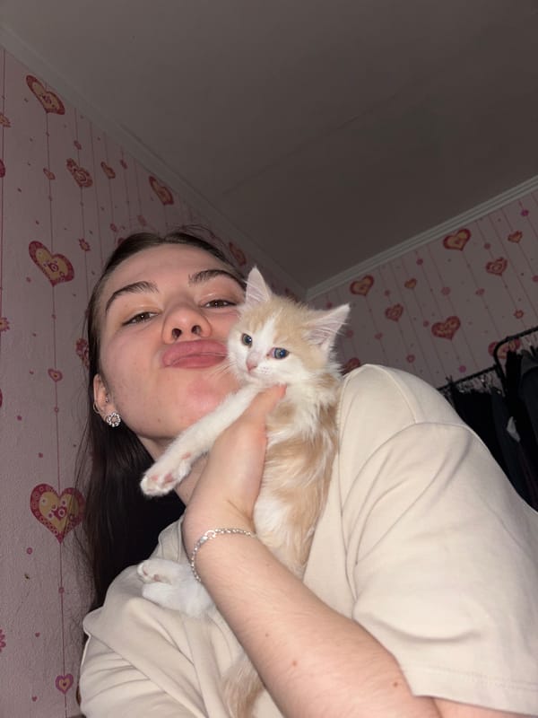 Woman cuddles kitten indoors in Perm, Russia