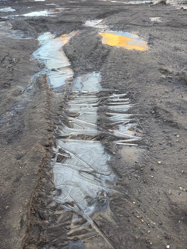 Ice crystals form intricate patterns on muddy surface in Russia