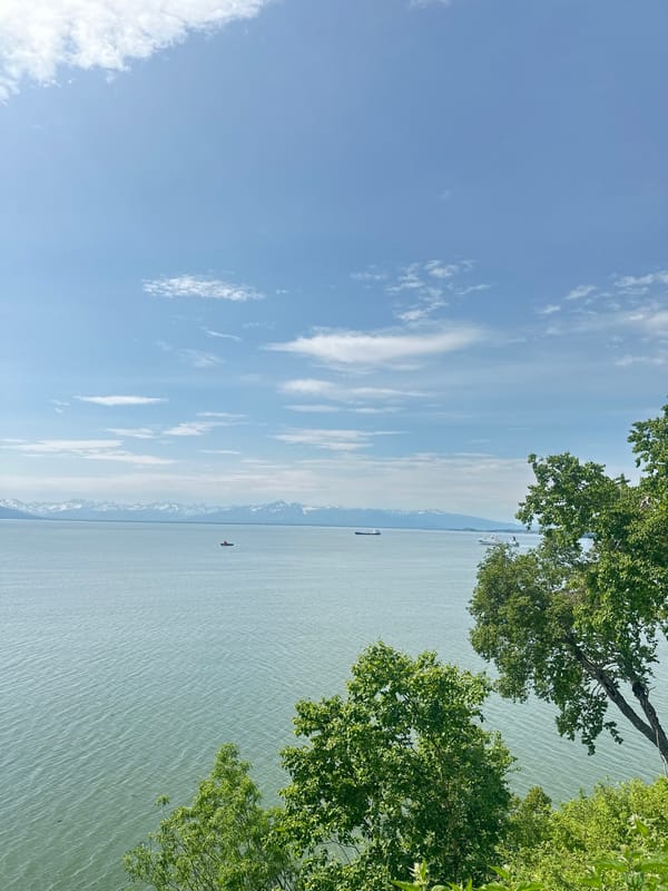Calm water, mountain views, and a shaded park path