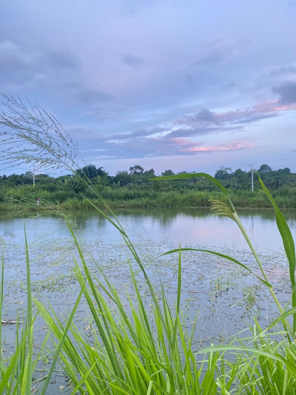 Evening life documented across Davao City neighborhoods and parks