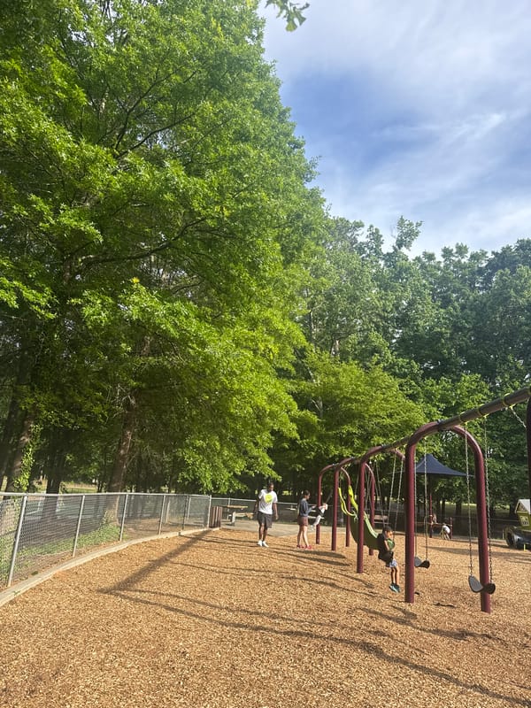 Evening playground activity captured in Mountain Park, Georgia