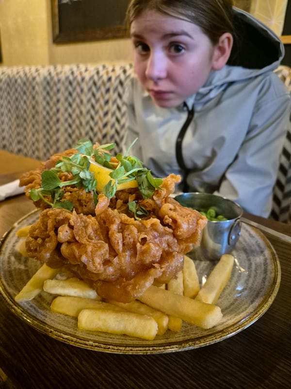 Diner enjoys meal at traditional pub in Needham Market