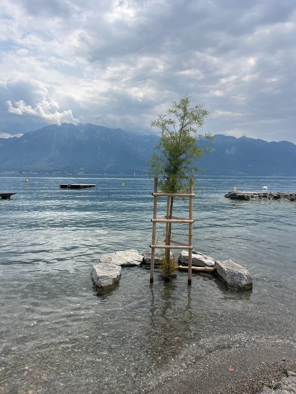 Lakeside afternoon in La Tour-de-Peilz, Courbet country