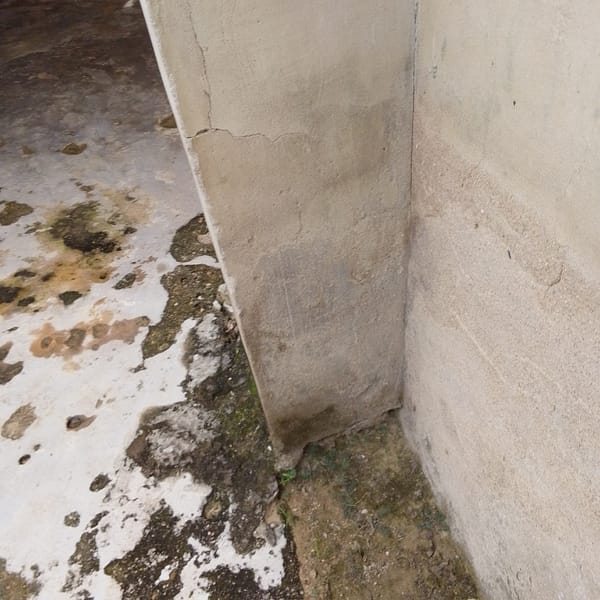 Close-up survey of a Jalingo compound's infrastructure and surroundings
