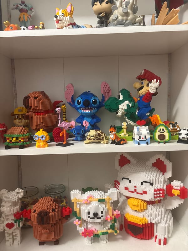 Toy collection display spotted on shelves in Plovdiv
