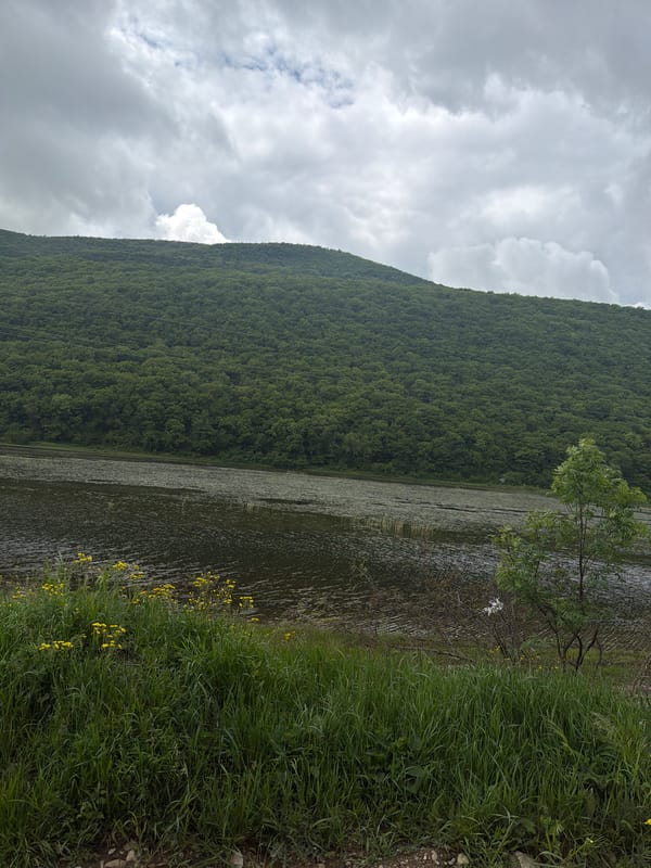 Peaceful lake scene documented in rural Georgia mountains