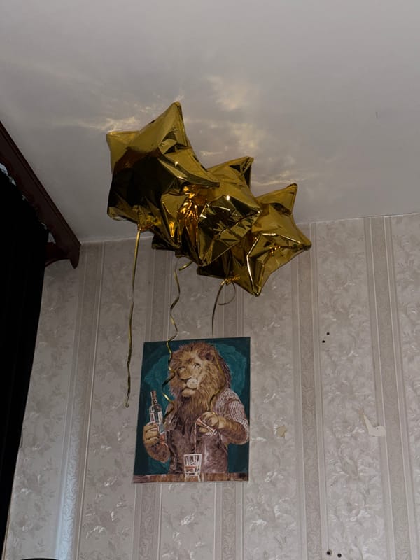 Home celebration with balloons and pet dog in Khimki