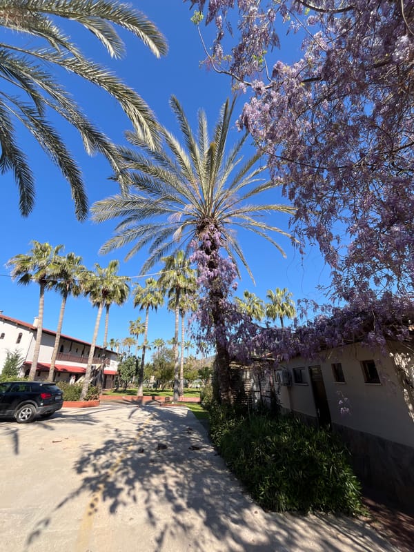 Morning scenes from Alanya Turkey show cable cars flags street life