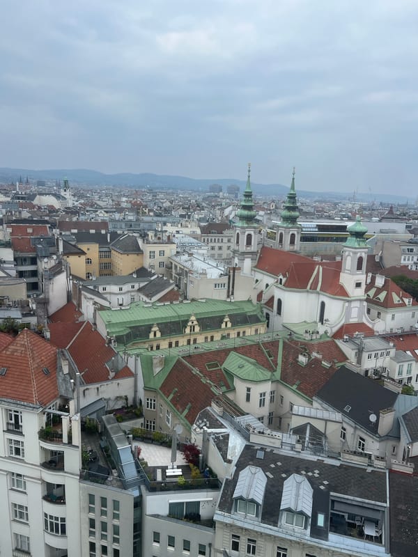 Aerial view captures Vienna's dense cityscape on cloudy afternoon