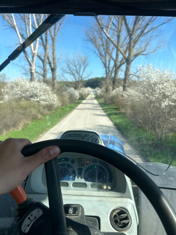 Spring drive through flowering trees in Bulgarian countryside
