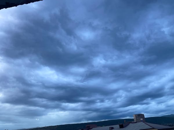 Tbilisi resident documents stormy evening with dog, art collections
