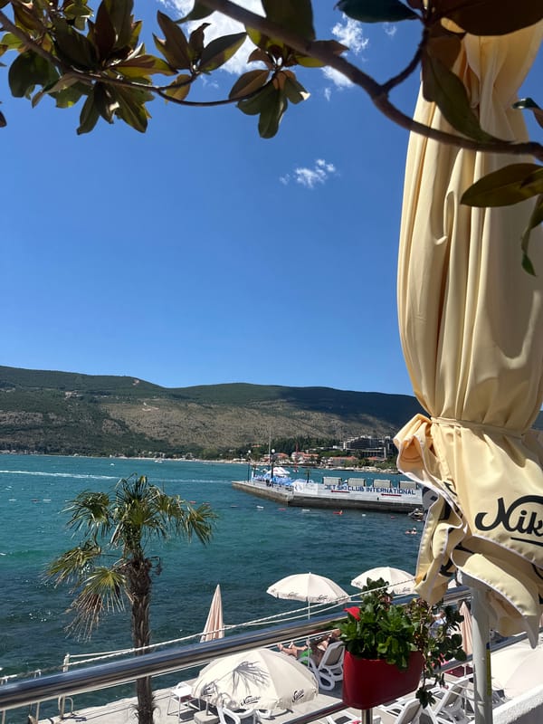 Waterfront cafés and palm-lined sky along the Bay of Kotor