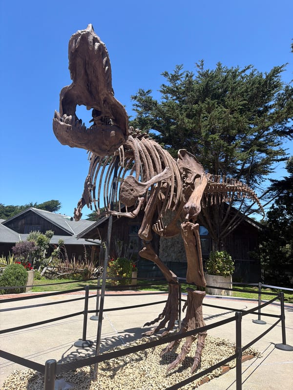 T. rex replica and a quick phone check in San Francisco