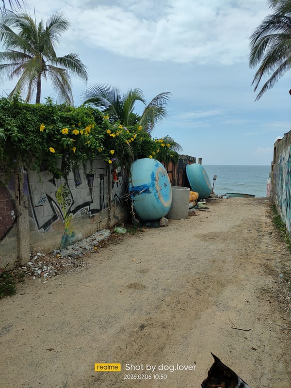 Early morning street life along the Phan Thiết coastline
