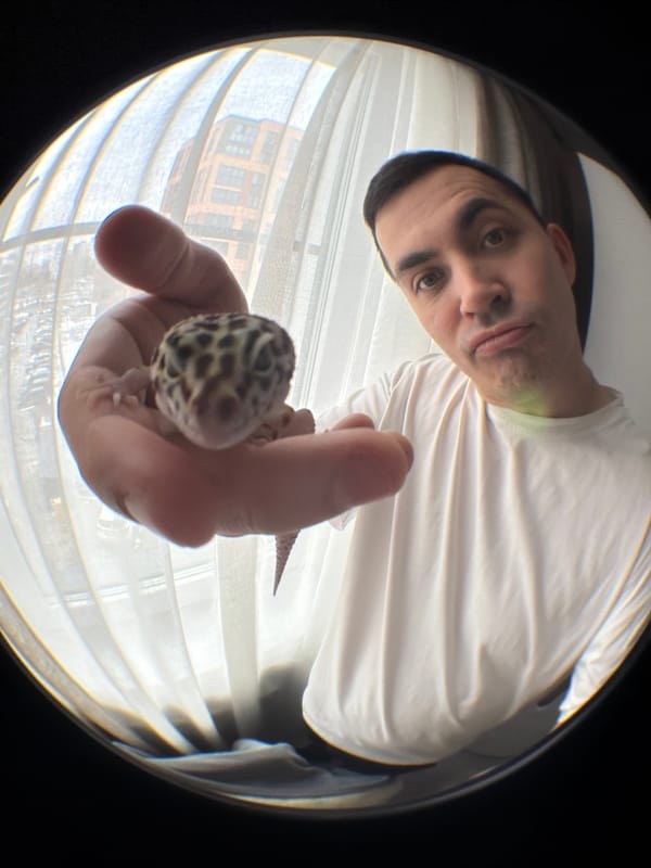 Man handles leopard gecko in Izhevsk apartment