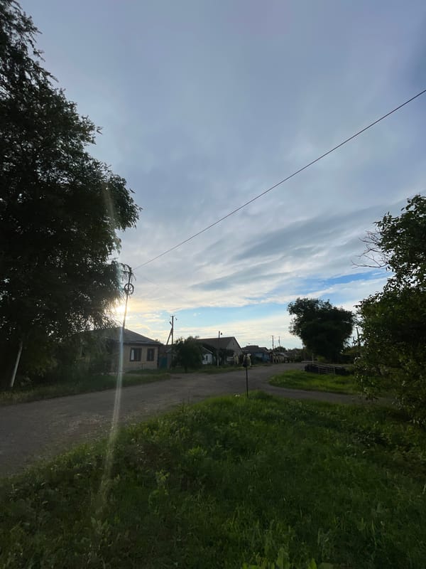 A quiet afternoon around the roads and gardens of Donskoye