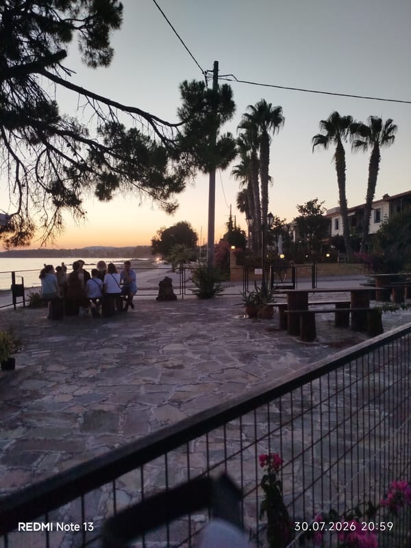 Sithonia coastline at dusk: pools, palms, and still water