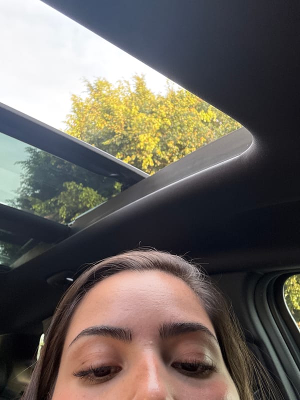 Vehicle sunroof selfie captured in Tlaxcalancingo, Mexico