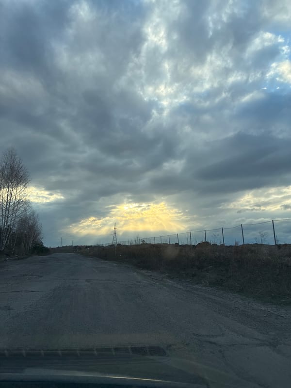 Sunlight breaks through clouds above roadside landscape