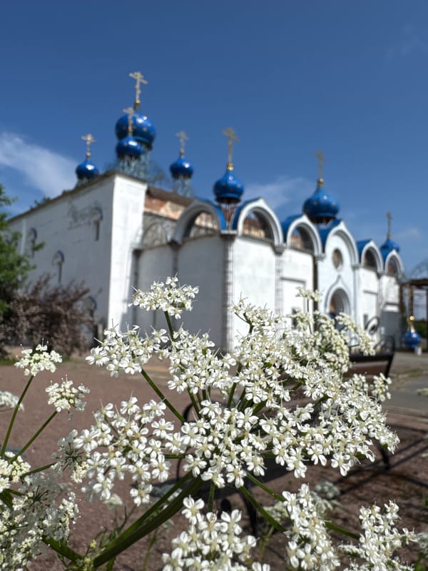 Orthodox church with blue domes photographed in Tosno, Russia