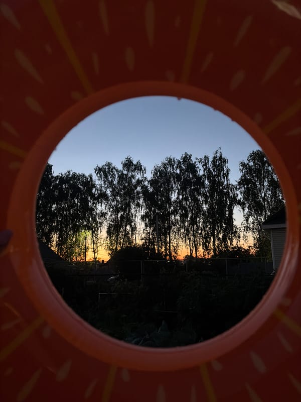 Backyard summer evening in Chaikovsky, wine and golden hour