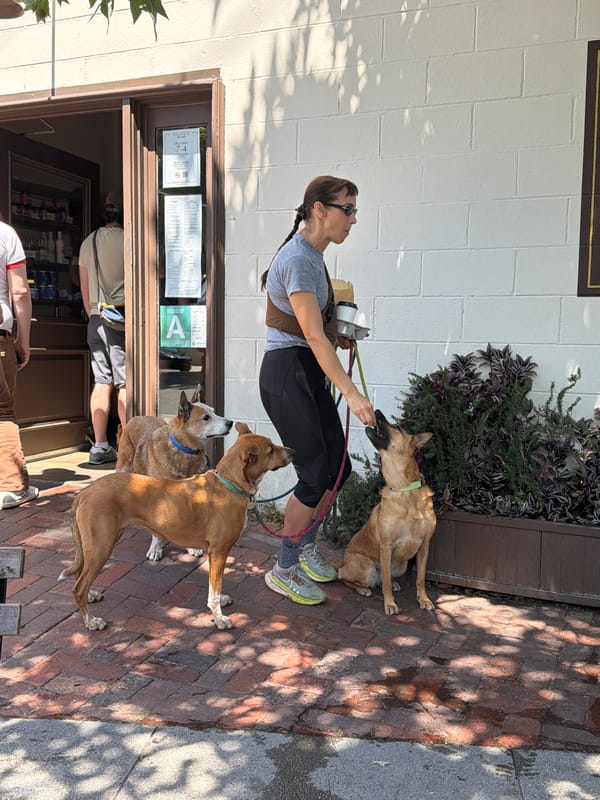 Woman walks three dogs in downtown Los Angeles