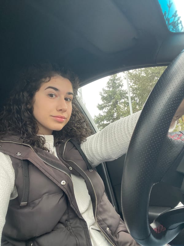 Woman photographed inside car in Sofia, Bulgaria early morning